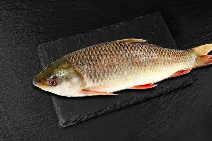 Ruhu Fish ( রুই মাছ)